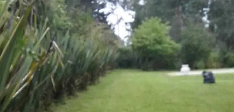 Desmalezado de un terreno residencial con maleza alta