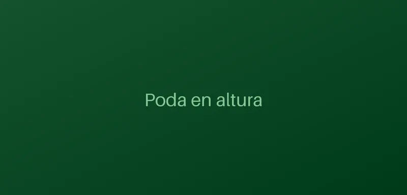 Arborista con arnés podando un eucalipto de gran altura