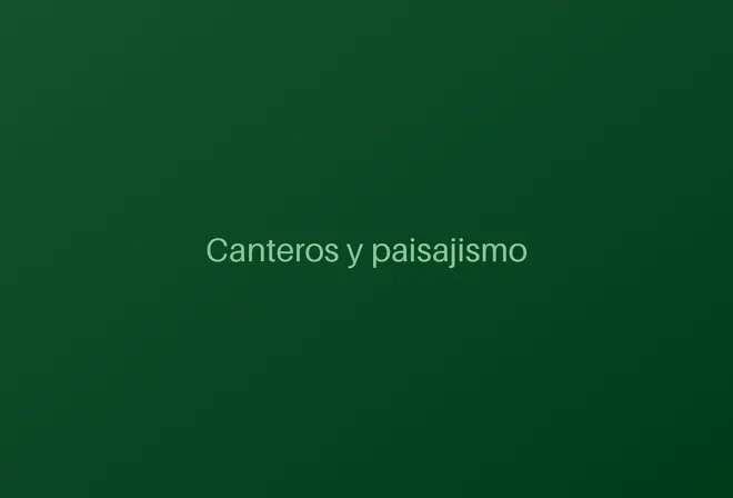 Canteros con piedras y plantas nobles