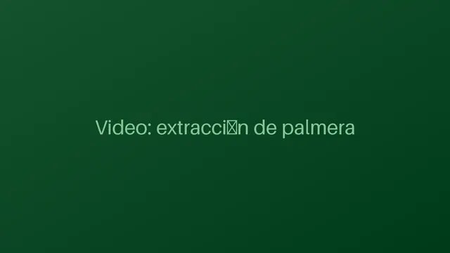 Extracción de Palmera Centenaria Afectada