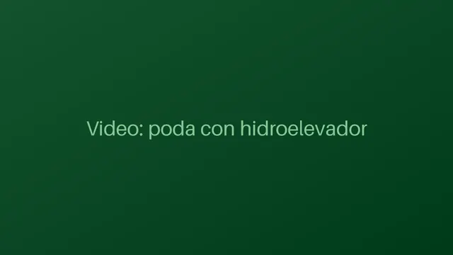 Poda de Altura Crítica con Hidroelevador