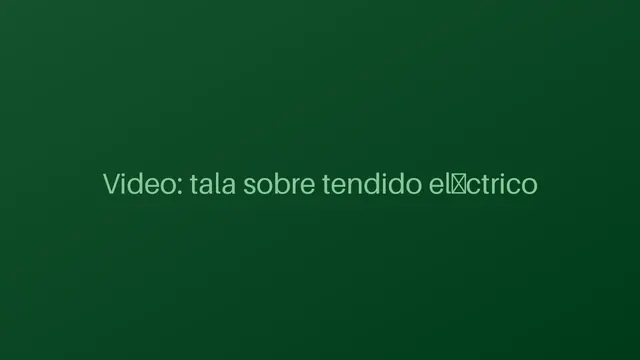 Tala de Eucalipto sobre Tendido de UTE